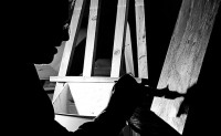 /album/fotogaleria-inicio/a315468-4401659879845-287864719-n-jpg/